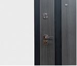 Дверь Цербер R-27 Только 96 DIS007137 фото